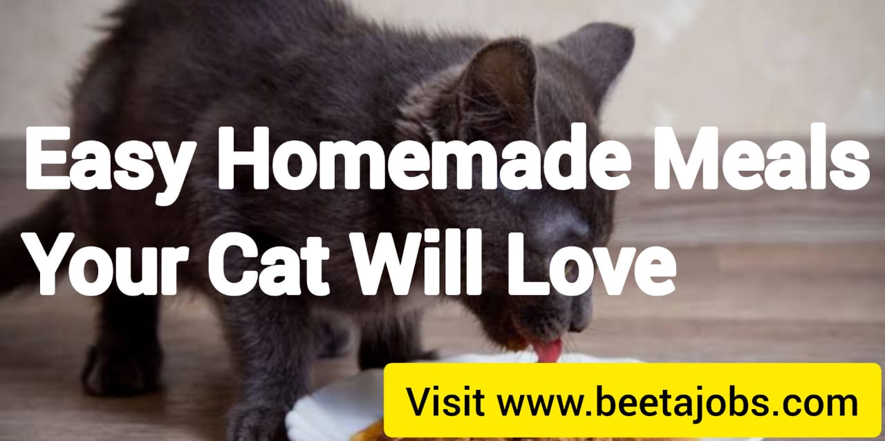 Easy Homemade Meals Your Cat Will Love