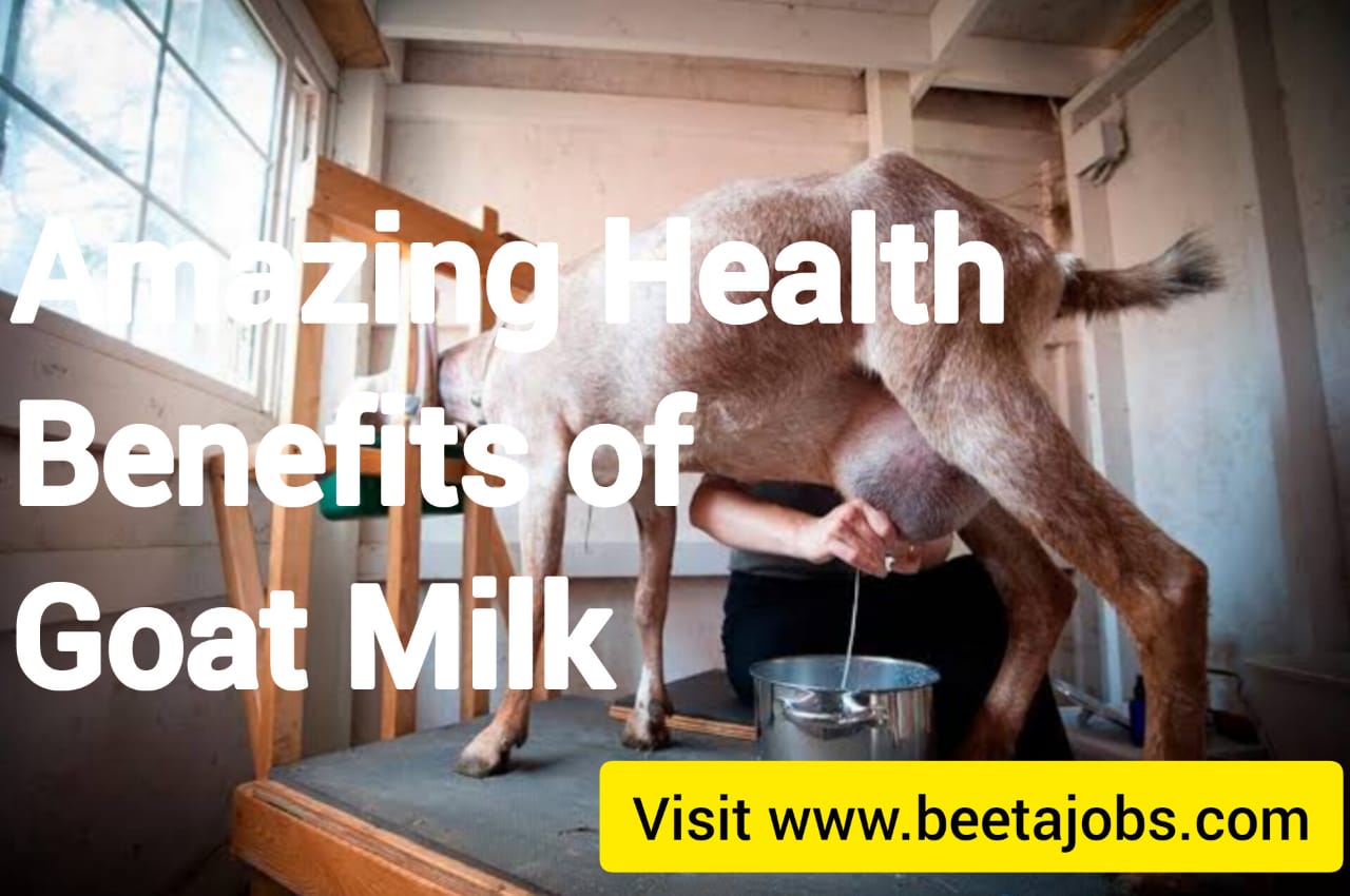 Amazing Health Benefits Of Goat Milk