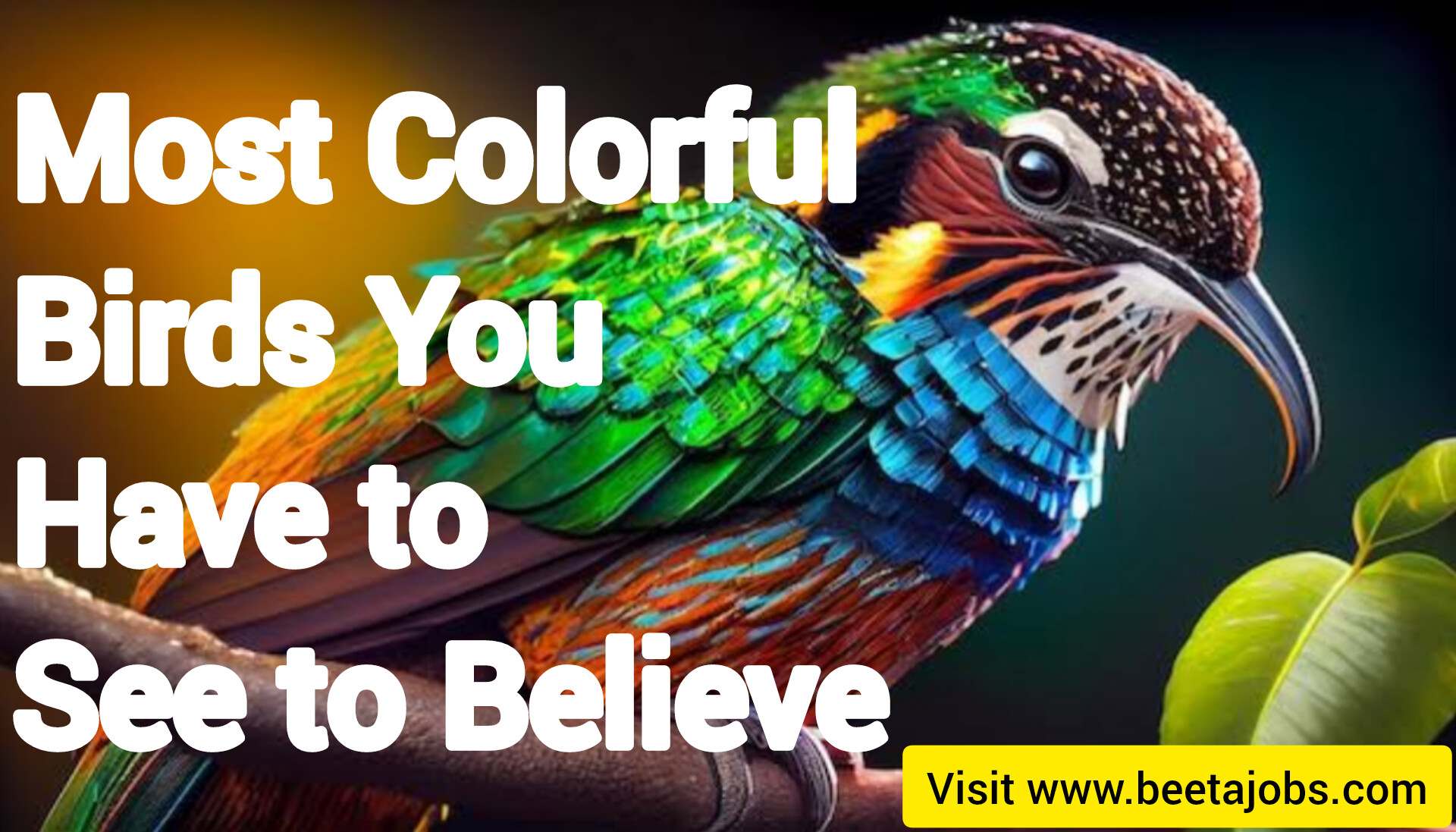 Most Colorful Birds You Have to See to Believe