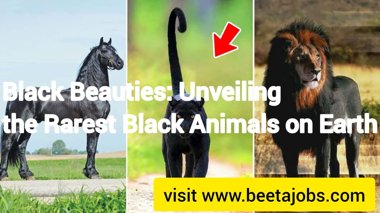 Black Beauties: Unveiling the Rarest Black Animals on Earth