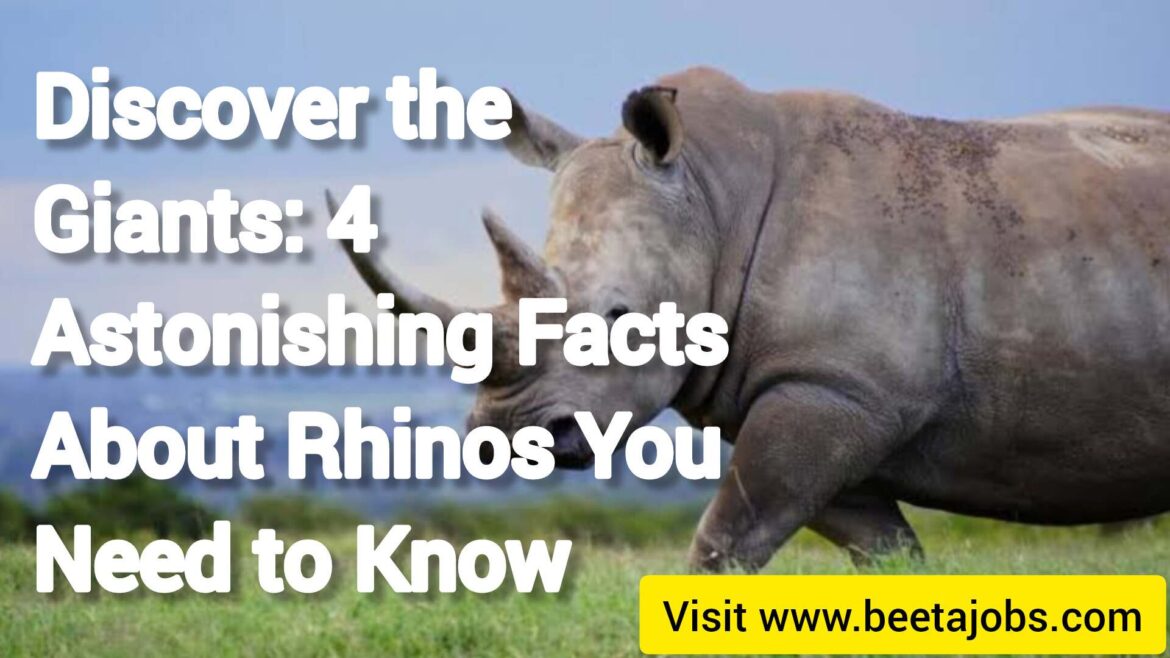 Discover the Giants: 4 Astonishing Facts About Rhinos You Need to Know