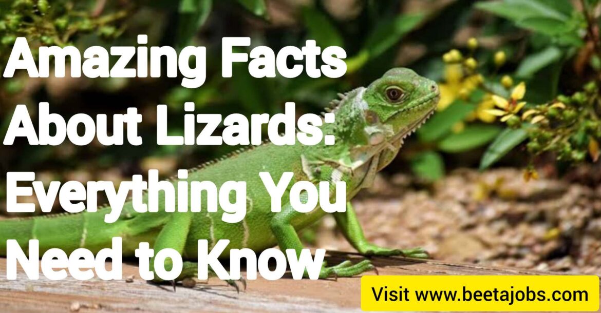 Amazing Facts About Lizards: Everything You Need to Know